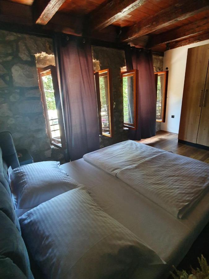 Miau Premium Apartment *